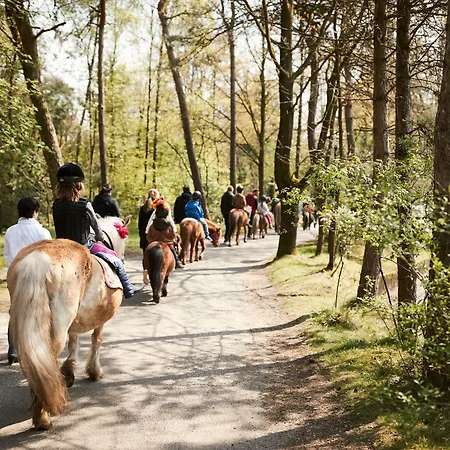 Center Parcs Meerdal Limburg-brabant 3*