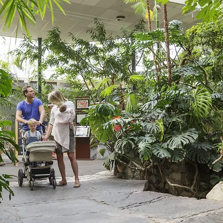Center Parcs Meerdal Limburg-brabant Semesterpark 3*