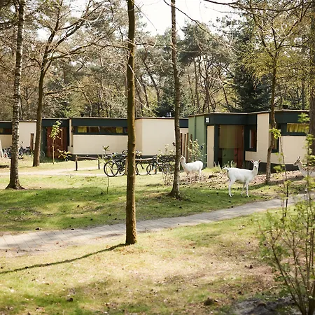 Center Parcs Meerdal Limburg-brabant