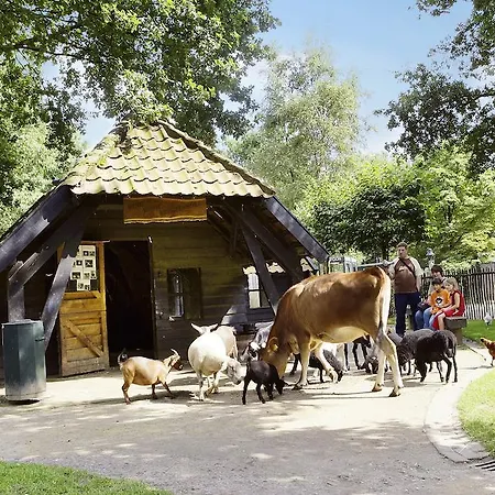 Center Parcs Meerdal Limburg-brabant