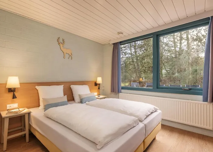 Center Parcs Meerdal Limburg-brabant America