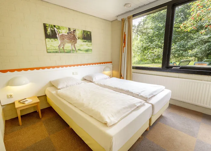 Center Parcs Meerdal Limburg-brabant America