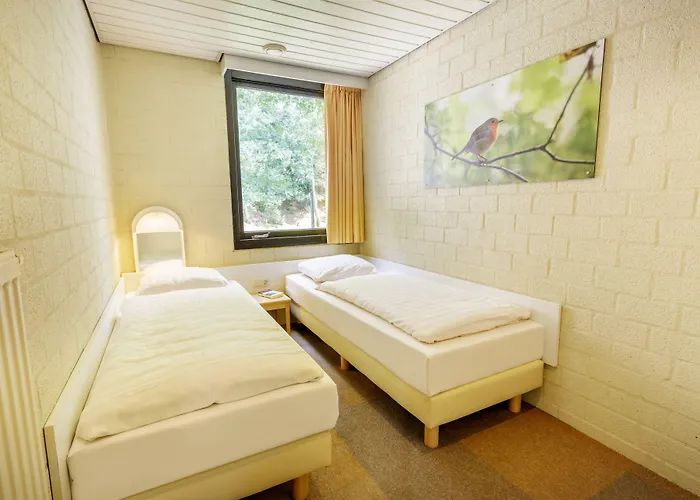 Center Parcs Meerdal Limburg-brabant Village de vacances America