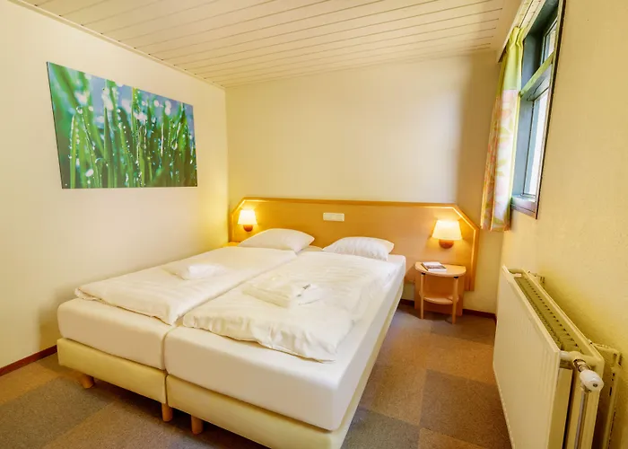 Center Parcs Meerdal Limburg-brabant 3*