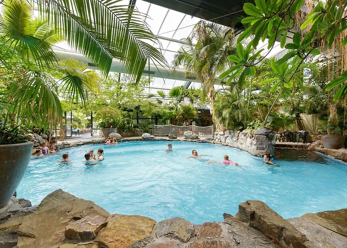 Center Parcs Meerdal Limburg-brabant 3* America