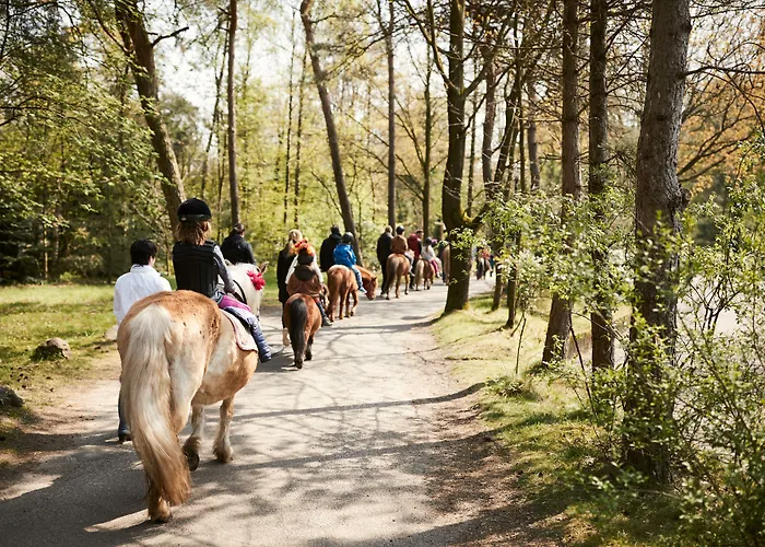 Center Parcs Meerdal Limburg-brabant 3*