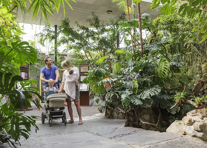 Center Parcs Meerdal Limburg-brabant Village de vacances 3*