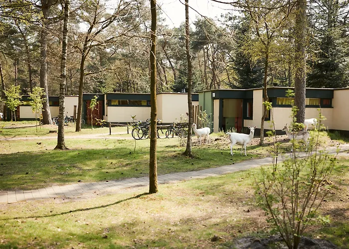 Center Parcs Meerdal Limburg-brabant