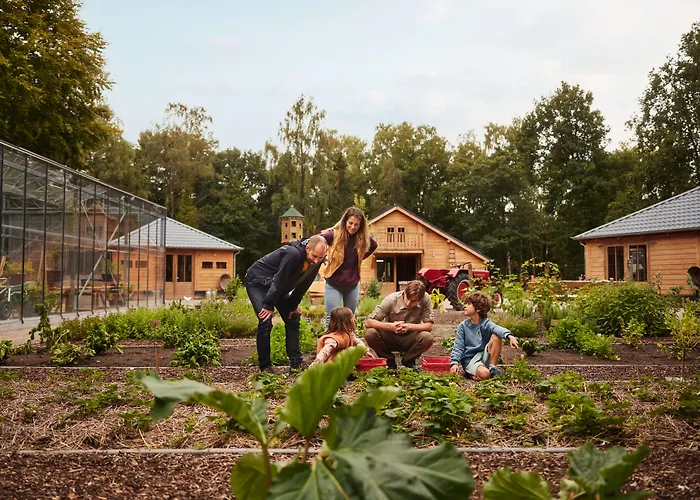 Center Parcs Meerdal Limburg-brabant 3*