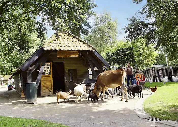 Center Parcs Meerdal Limburg-brabant